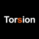Script&Go construction productivity client Torsion Group