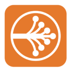 logo fiberscript orange